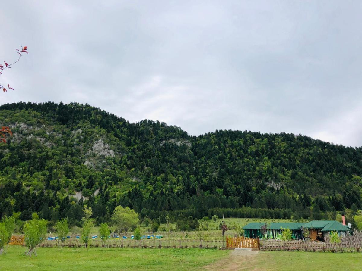 Camping Farm Shelegur Leskovik Esterno foto