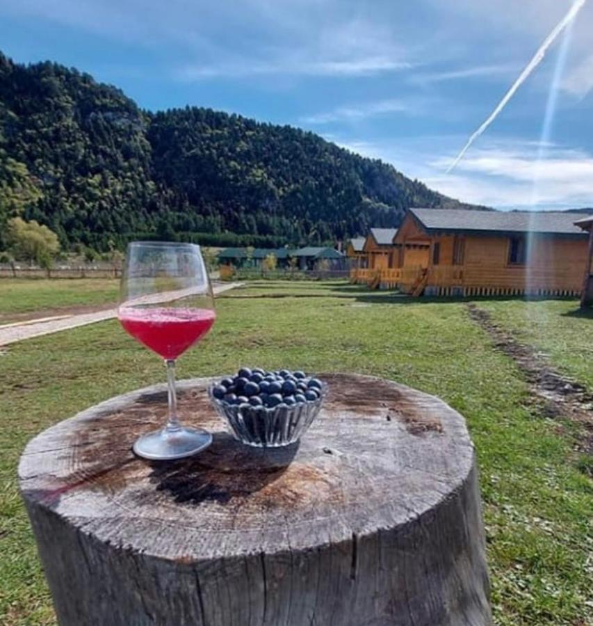 Camping Farm Shelegur Leskovik Esterno foto
