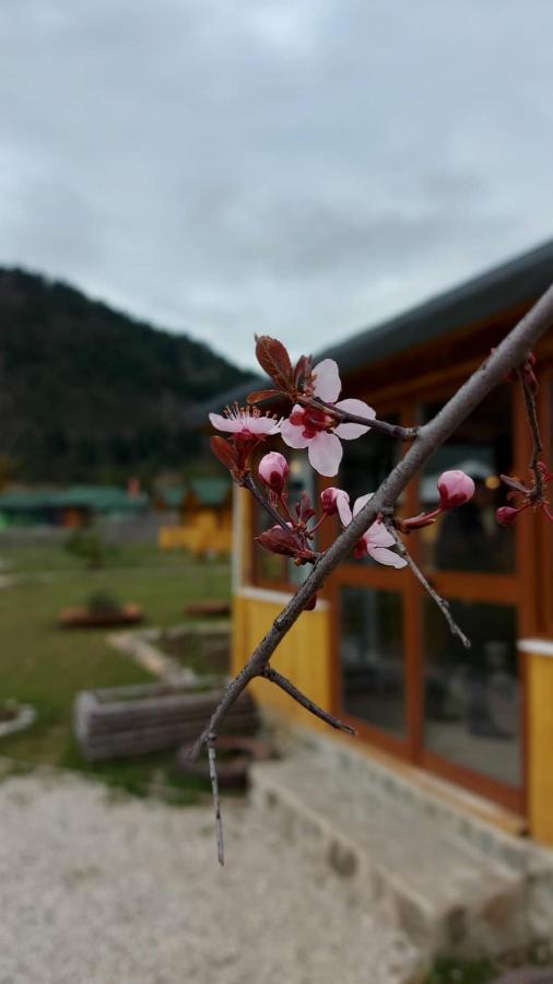 Camping Farm Shelegur Leskovik Esterno foto